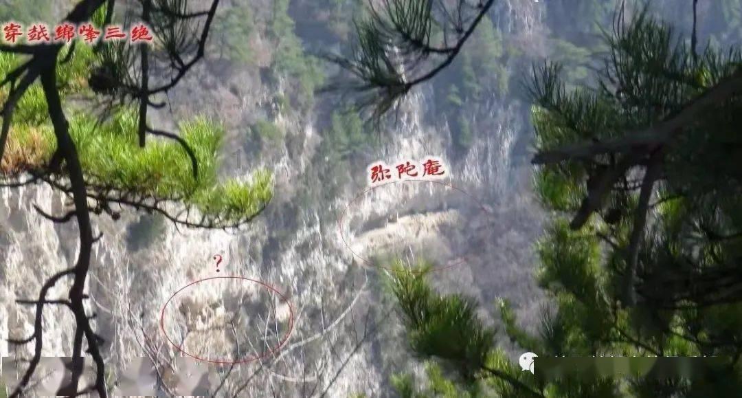 饥饿的哈利