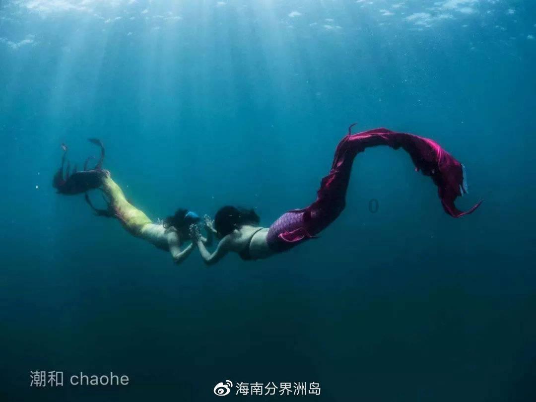 剧版《哈利·波特》步入起步阶段 编剧开始角逐剧本