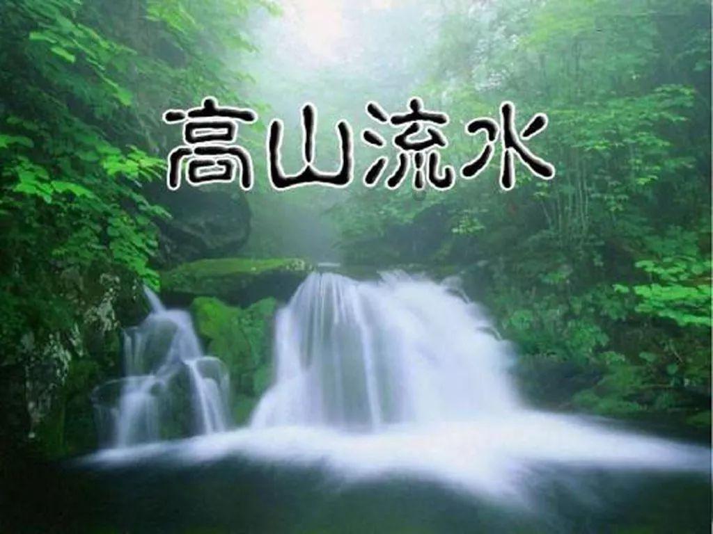 寻找迷路的松鼠