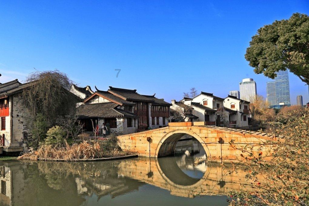 逃出小象森林